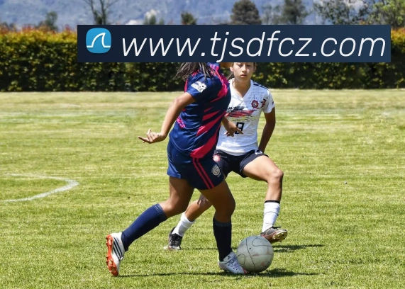 乐竞体育首页官网服务体系